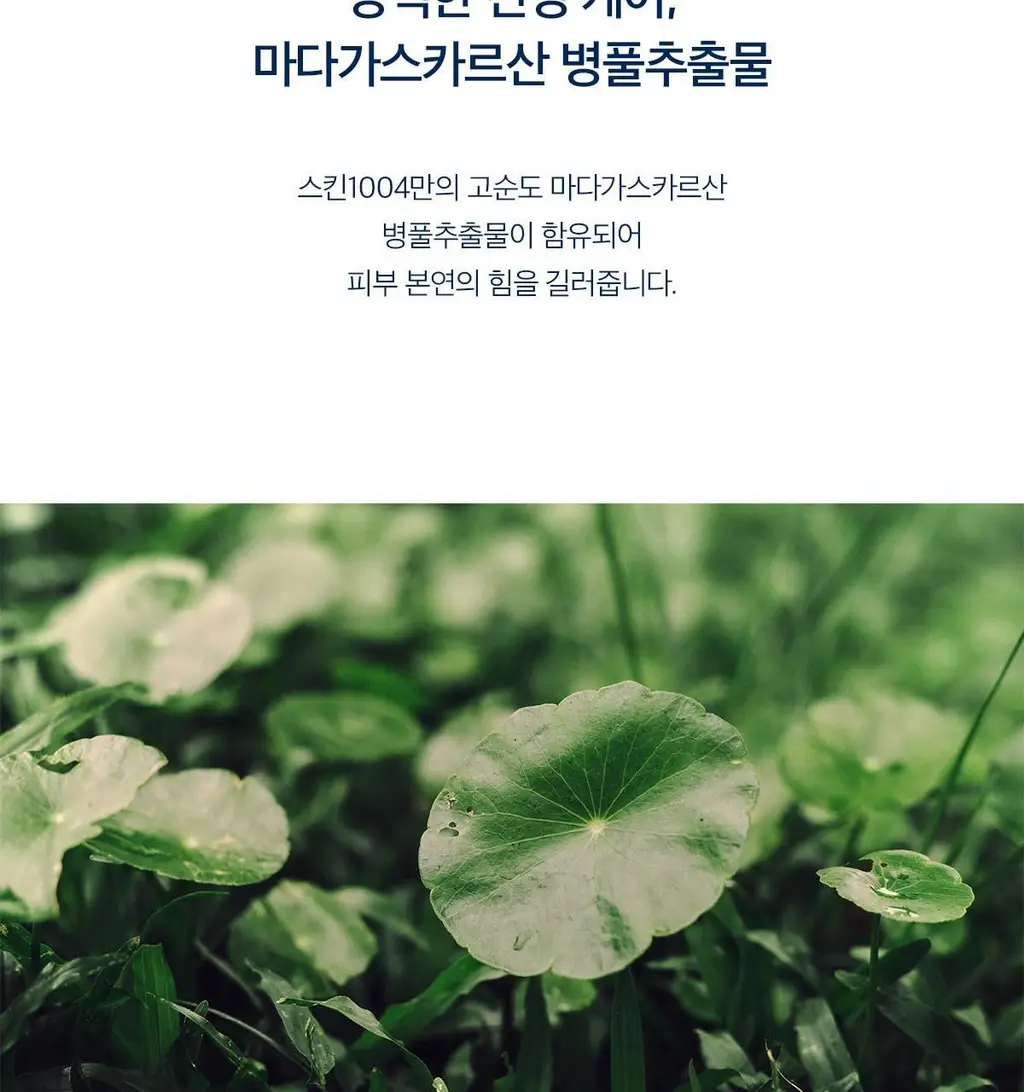 [2입 기획] 스킨1004 마다가스카르 센텔라 히알루-시카 워터핏 선세럼 50ml 더블기획 상세페이지 9